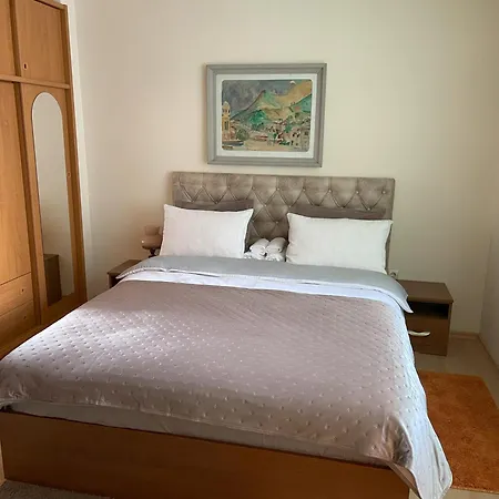 Boutique Big Joy 公寓 普罗夫迪夫