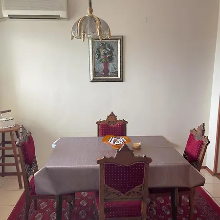 Boutique Big Joy 플로브디프