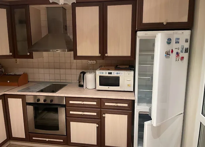 Boutique Big Joy 公寓 普罗夫迪夫