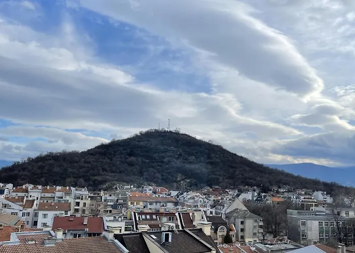 Boutique Big Joy 公寓 普罗夫迪夫